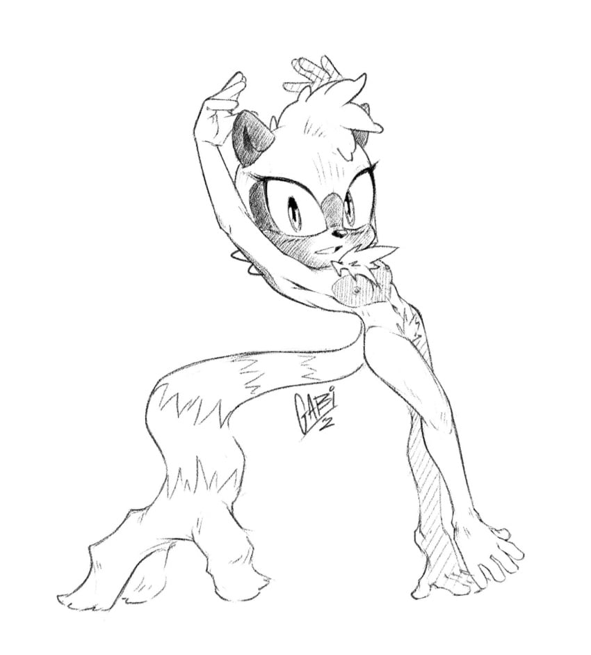 idw publishing, sega, sonic, breasts, chest tuft, feet