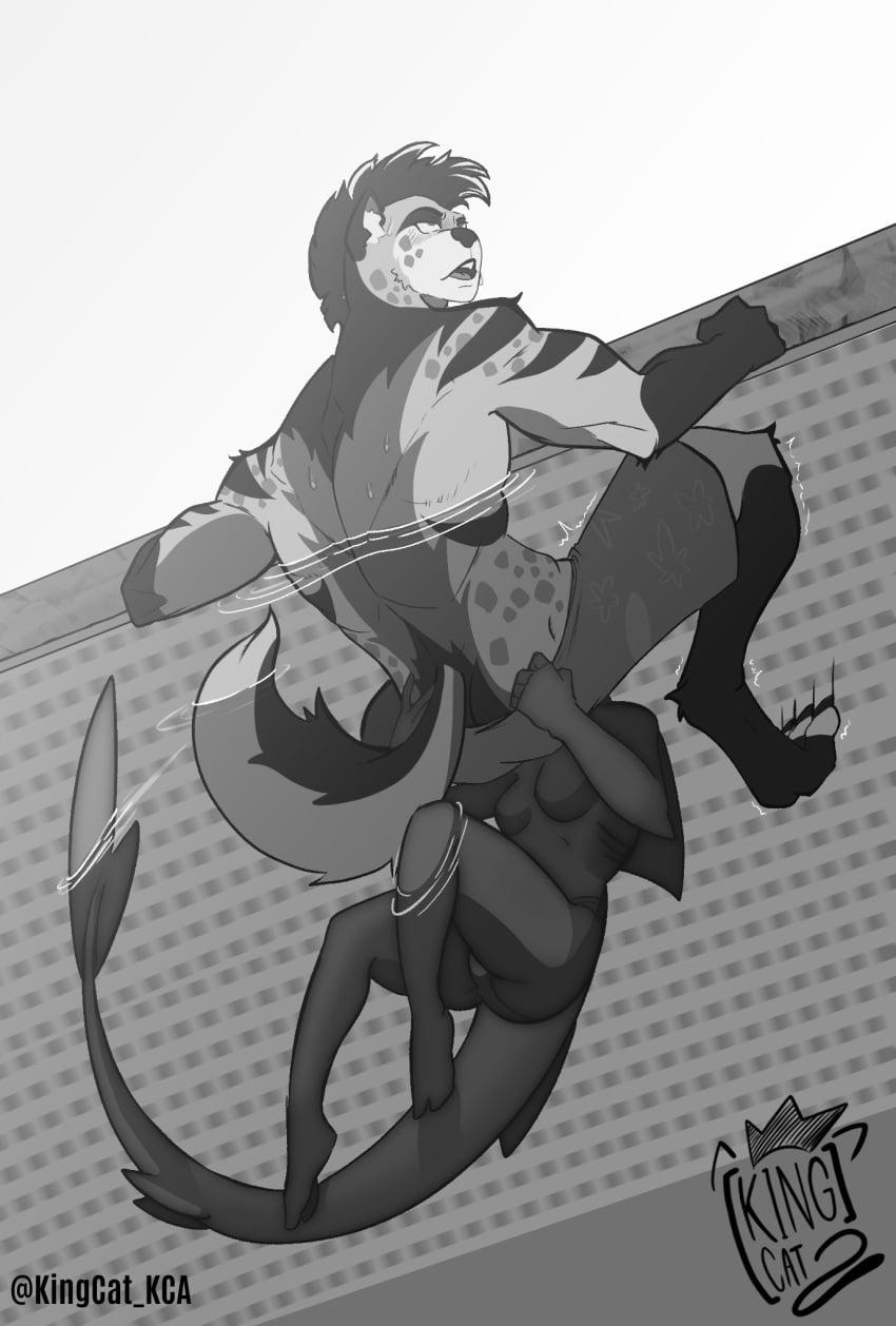 anthro, aquatic, breasts, clothing, female, fin