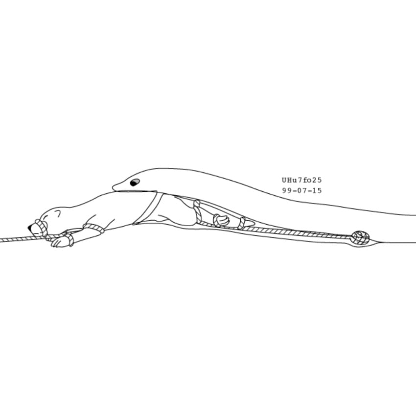 animal genitalia, bdsm, bondage, bound, bound prey, dated